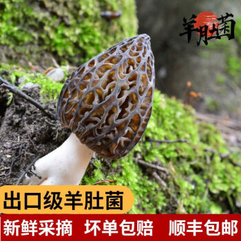 拼柜清单明细