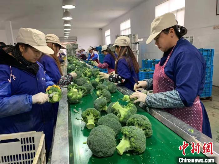 东莞仓库拼柜